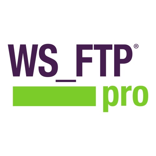 Ipswitch ws ftp professional