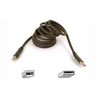 Belkin 6 Foot Pro Series Hi-Speed USB 2.0 A-B Cable - Connect your computer to your printer and peripheral devices